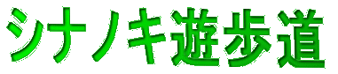 シナノノキ遊歩道